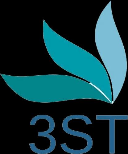 3ST